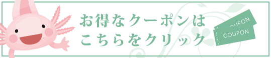 初見限定1,000円OFF